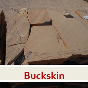 Buckskin1